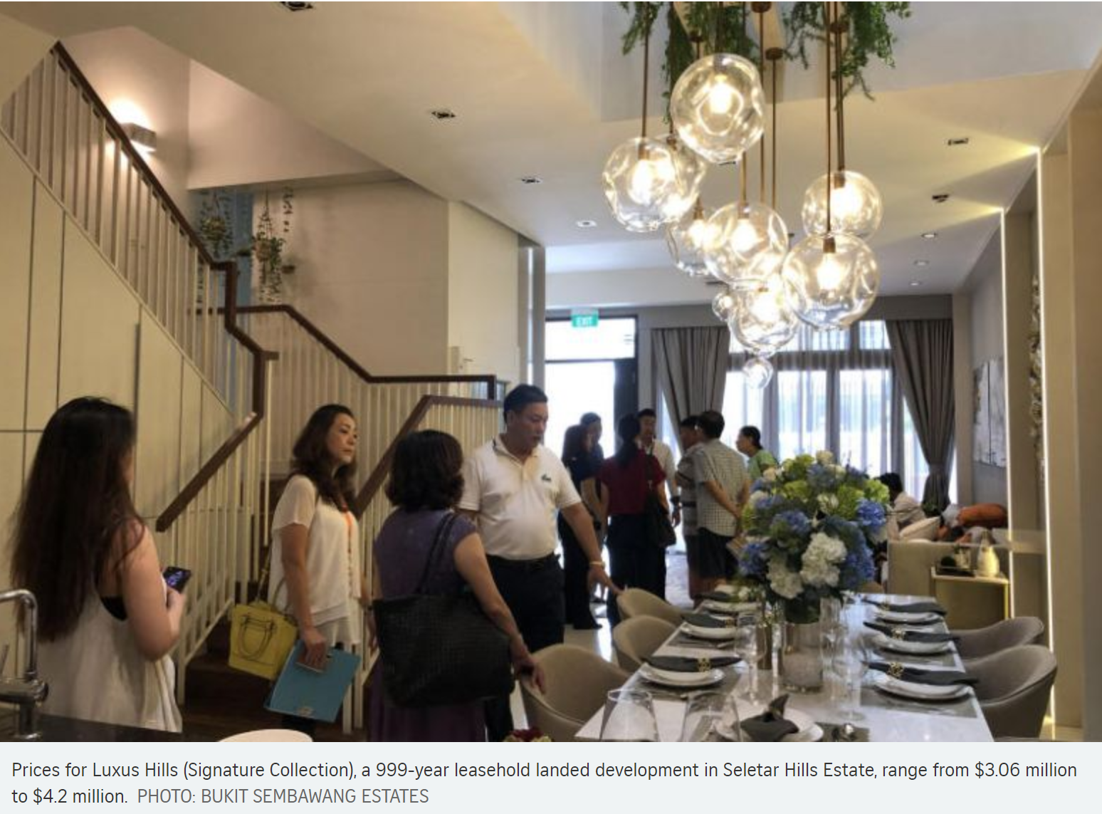 Luxus-Hills-Preview-Sales-Image-Singapore